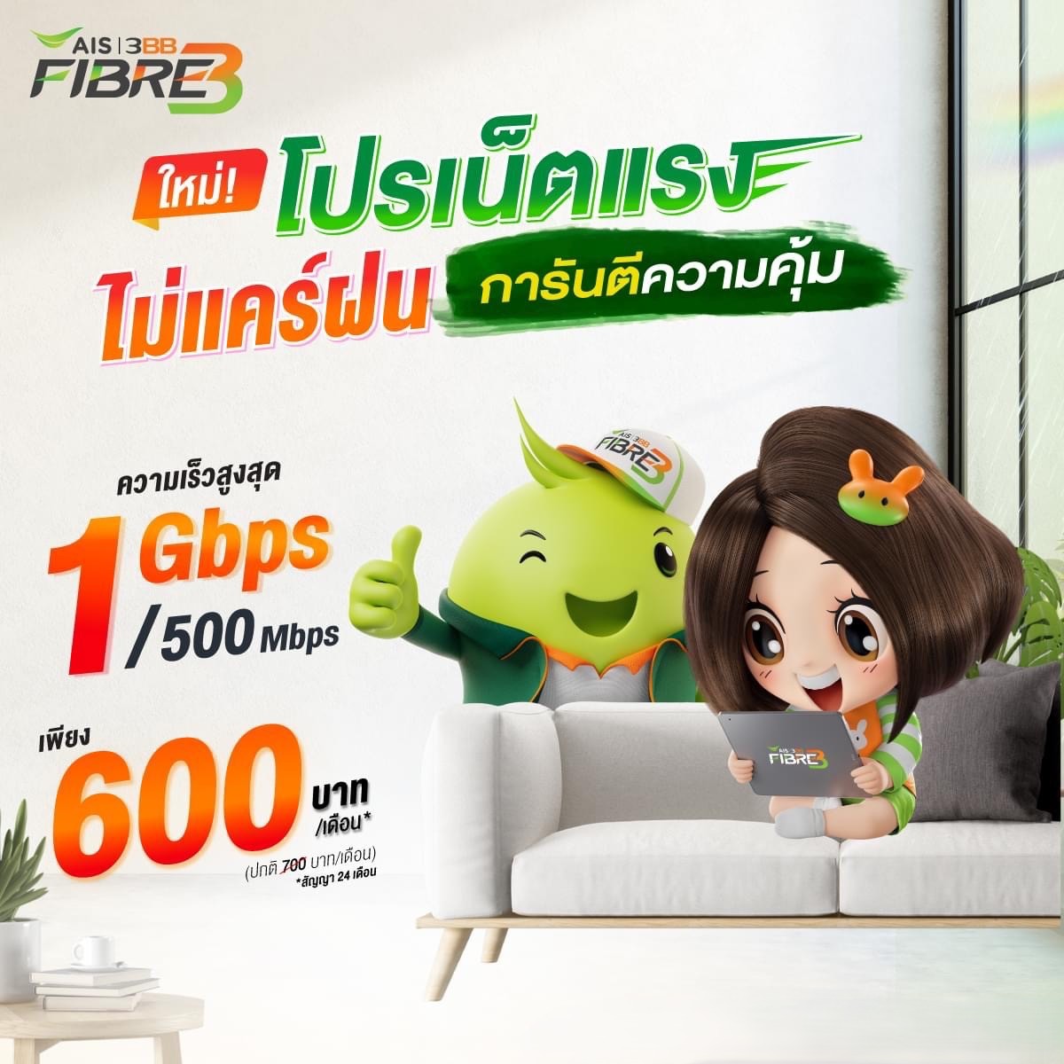 1Gbps/500M Package